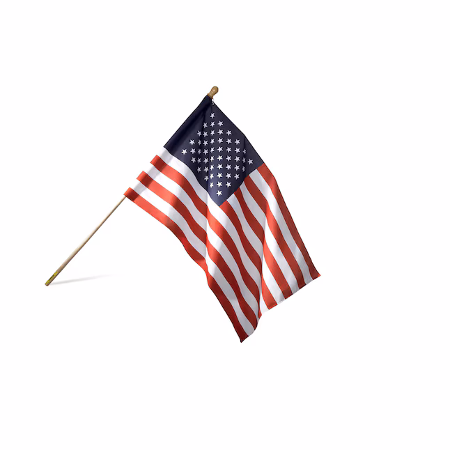 Nylon Flag with Metal Pole